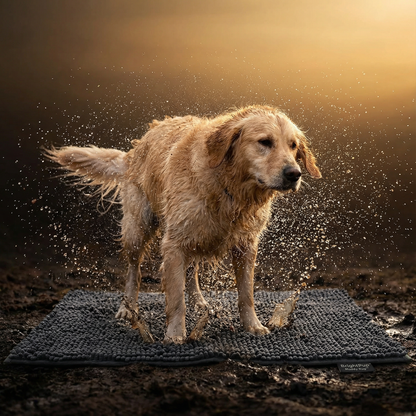 BrightPup Mud Mat — Ultra-Absorbent Clean Home Dog Rug