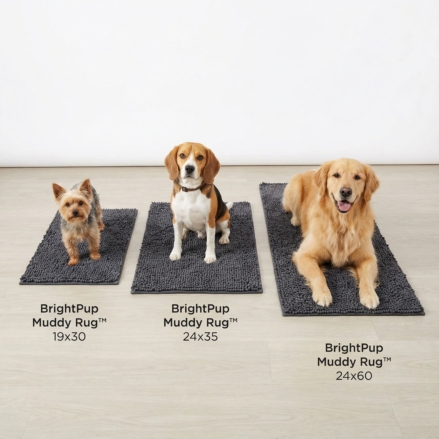 BrightPup Mud Mat — Ultra-Absorbent Clean Home Dog Rug